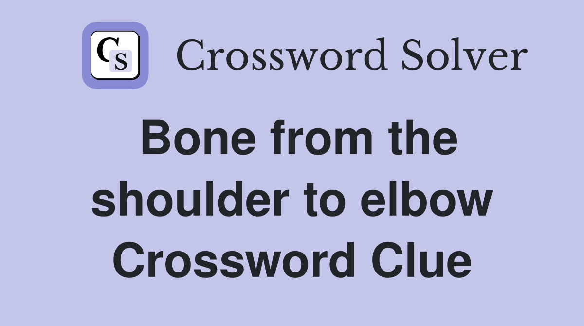 Bone from the shoulder to elbow Crossword Clue