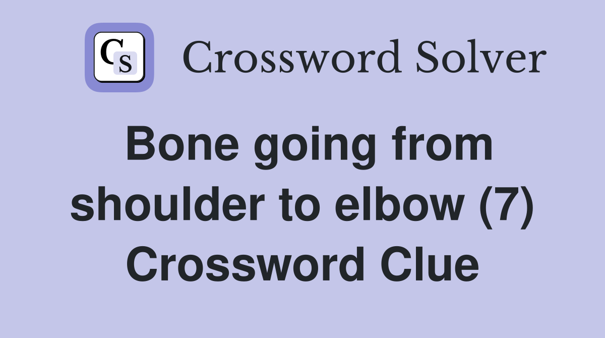 Bone going from shoulder to elbow (7) Crossword Clue