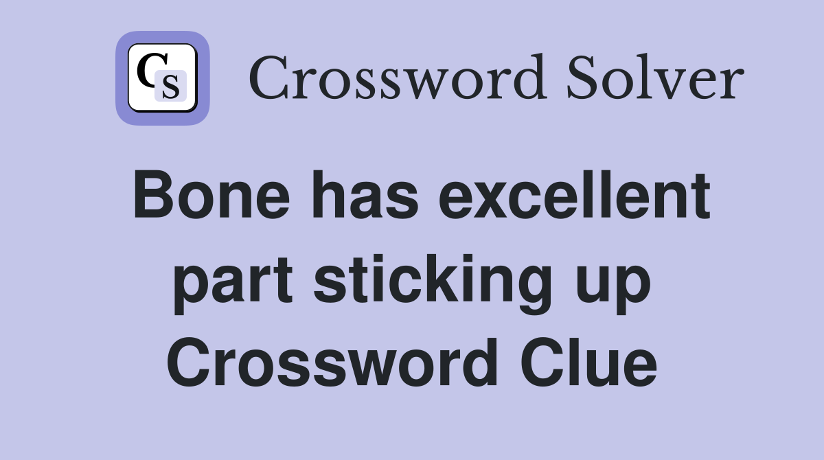 Bone has excellent part sticking up Crossword Clue