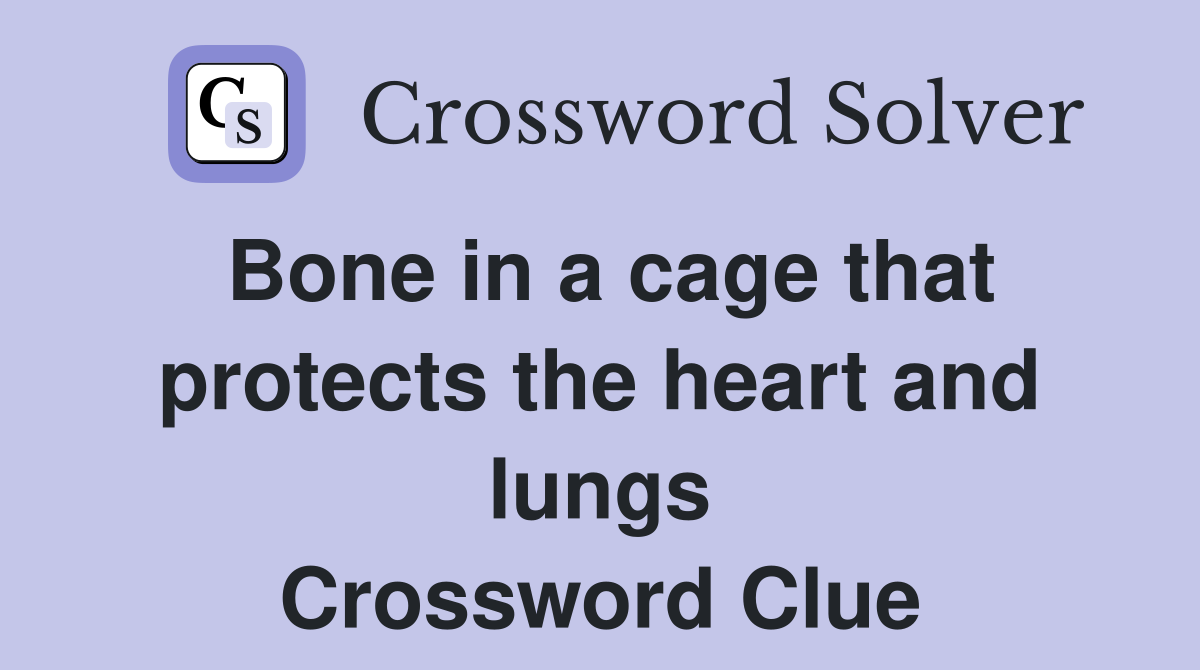 Bone in a cage that protects the heart and lungs Crossword Clue