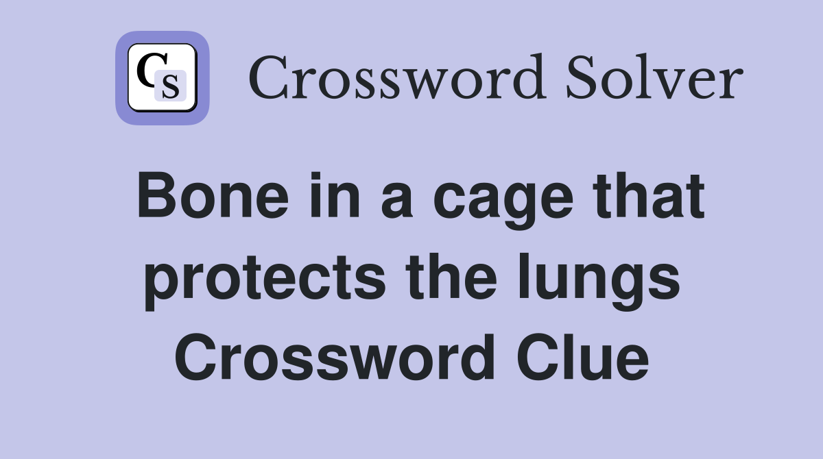 Bone in a cage that protects the lungs Crossword Clue