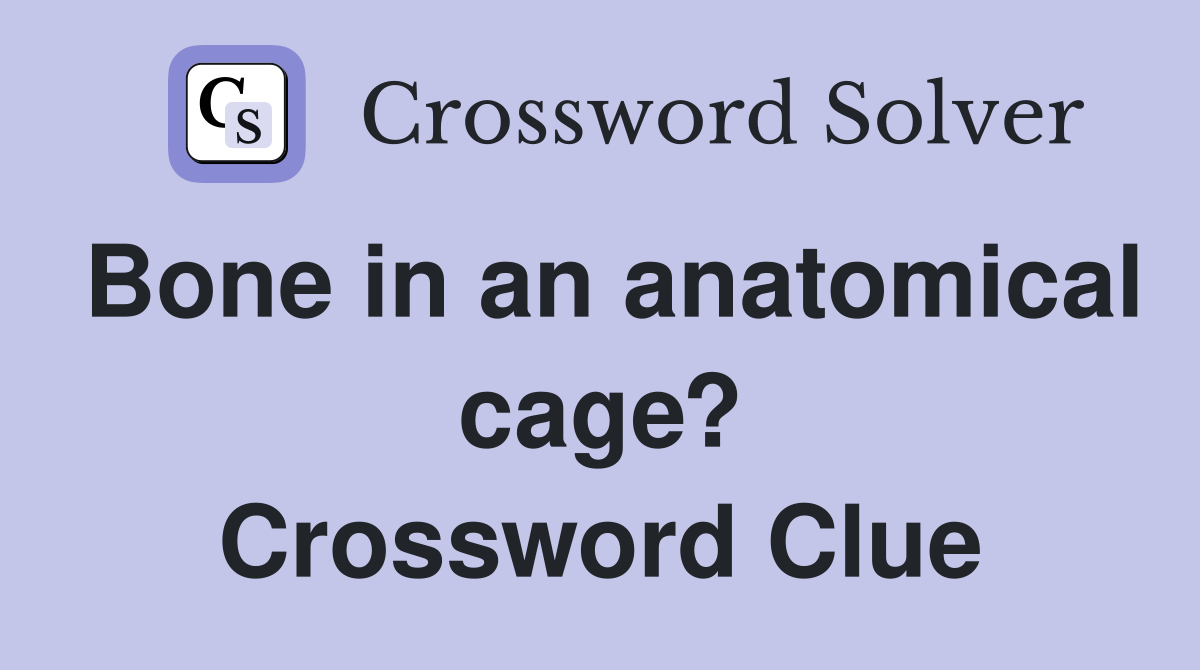 Bone in an anatomical cage? Crossword Clue