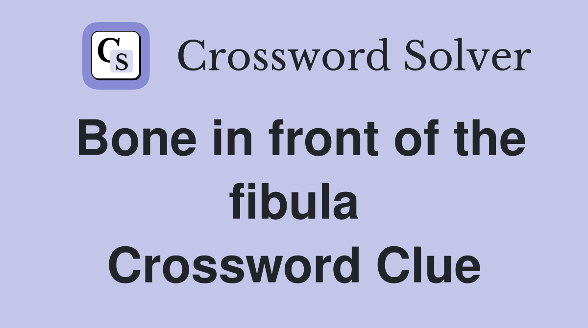Bone in front of the fibula Crossword Clue