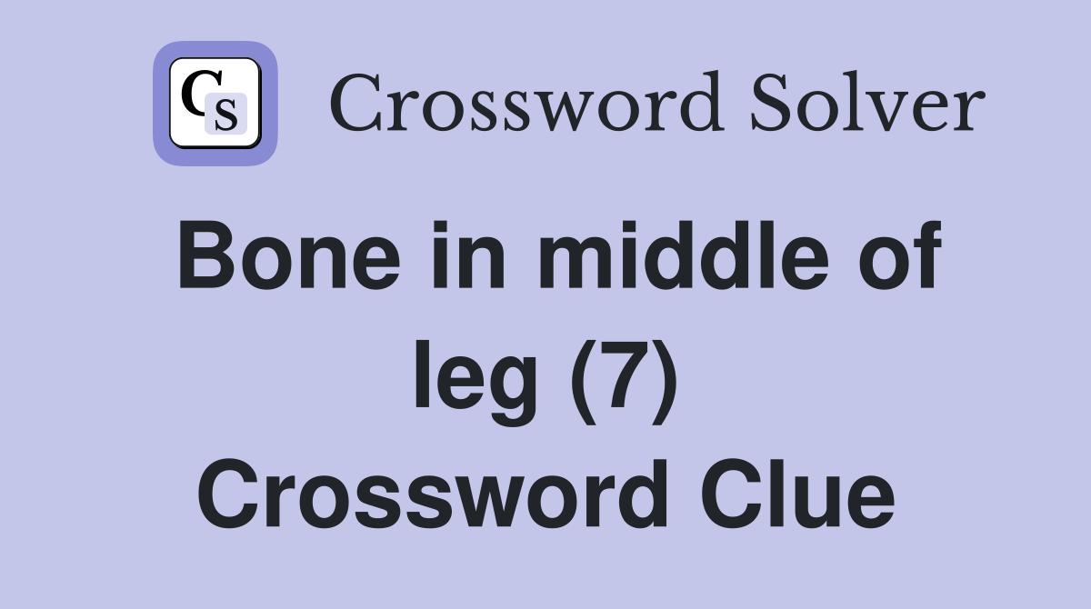 Bone in middle of leg (7) Crossword Clue