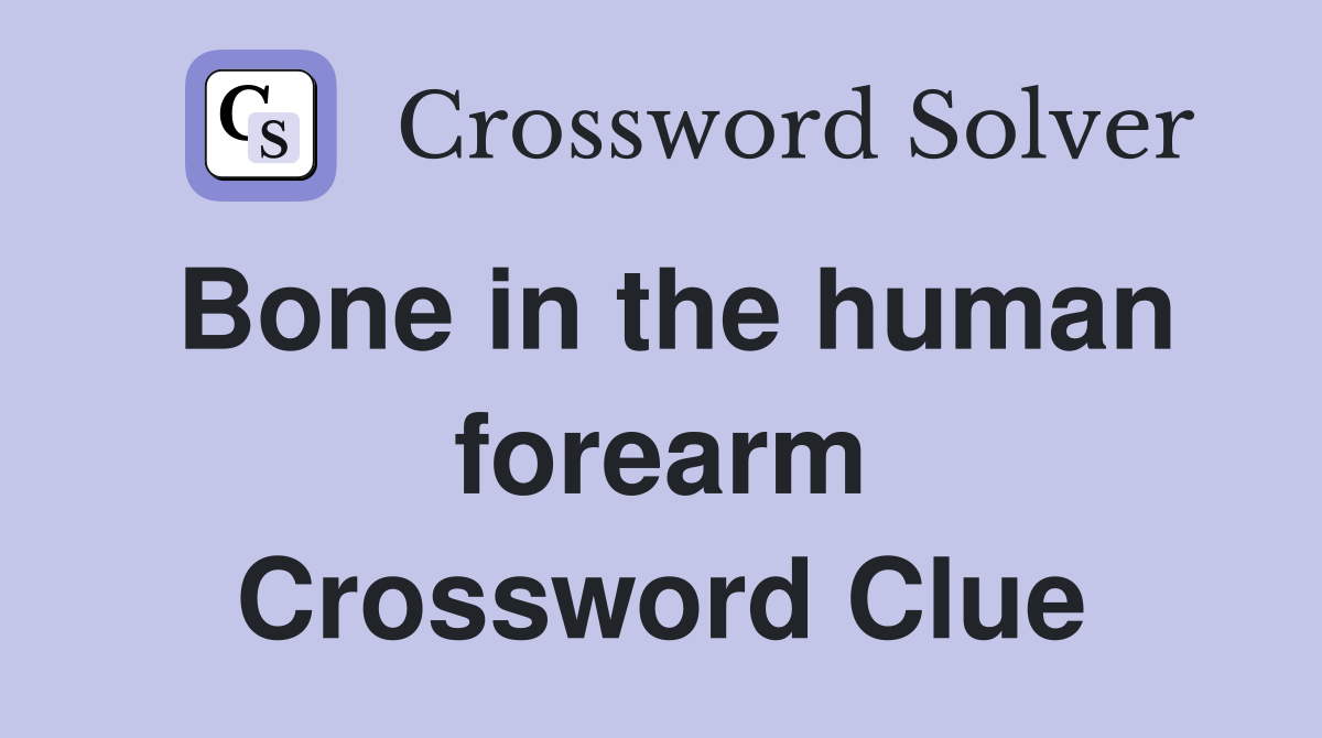 Bone in the human forearm Crossword Clue