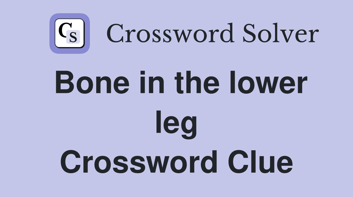 Bone in the lower leg Crossword Clue