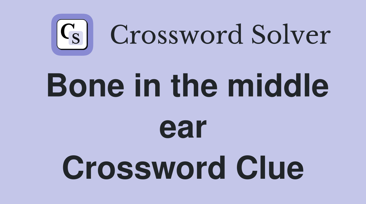 Bone in the middle ear Crossword Clue