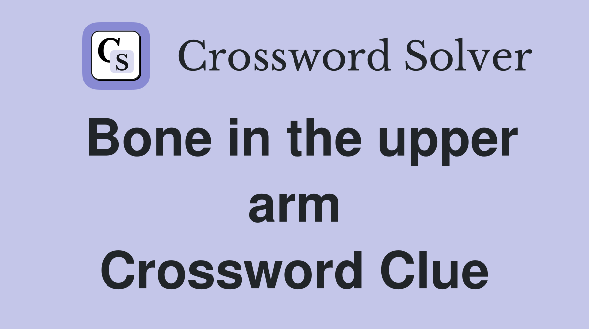 Bone in the upper arm Crossword Clue