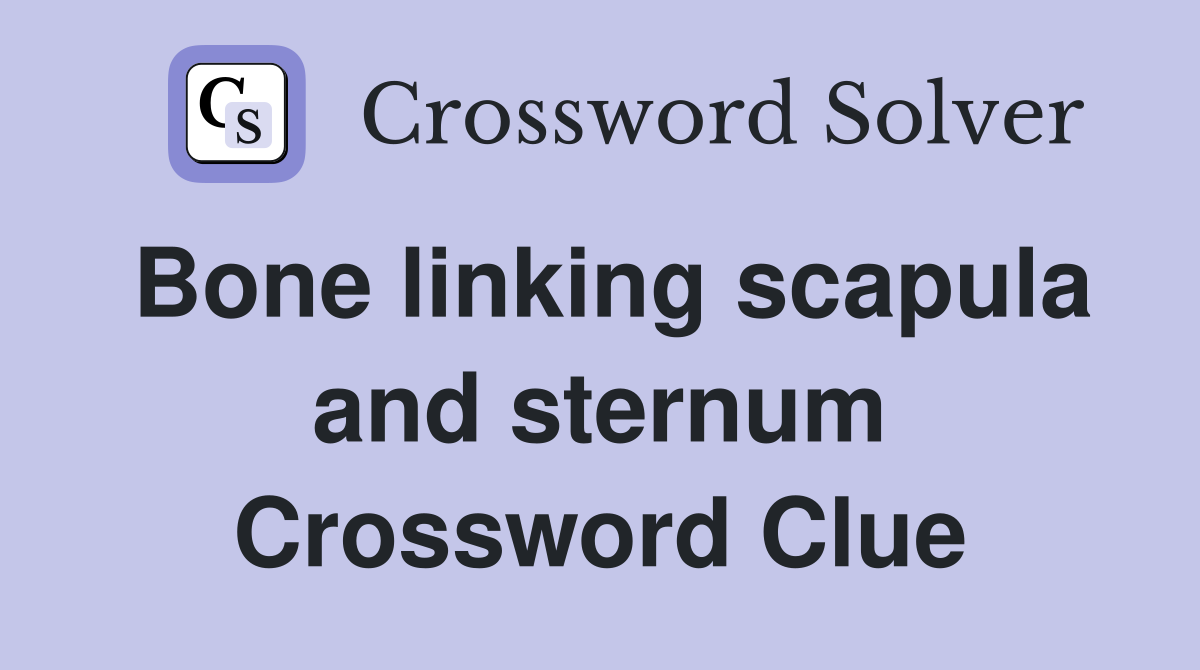 Bone linking scapula and sternum Crossword Clue