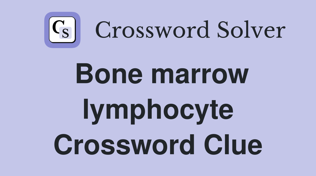 Bone marrow lymphocyte Crossword Clue