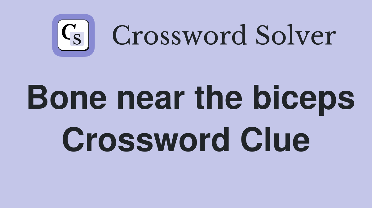 Bone near the biceps Crossword Clue