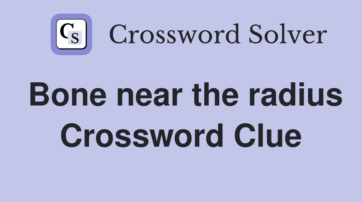 Bone near the radius Crossword Clue