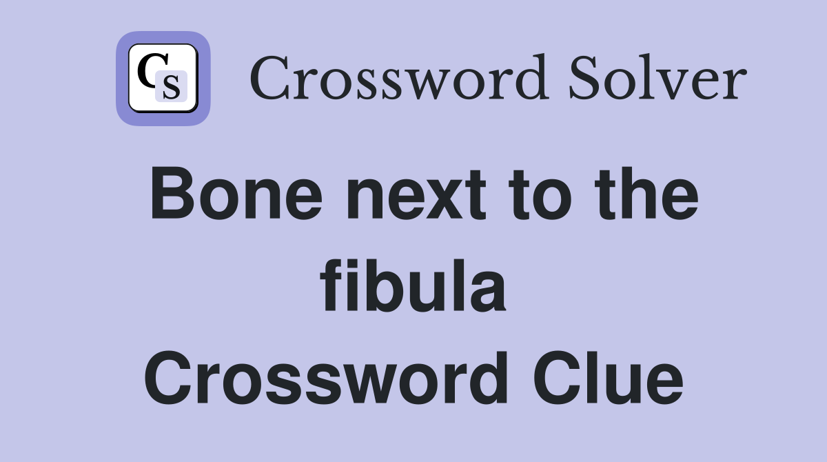 Bone next to the fibula Crossword Clue