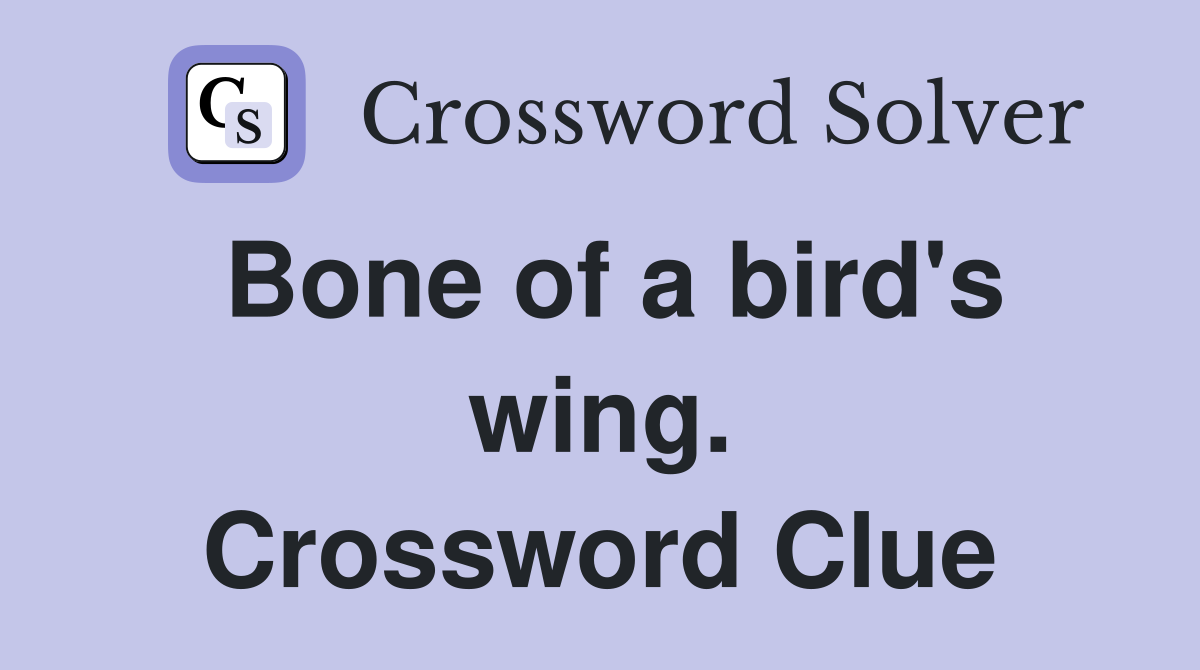 Bone of a bird's wing. Crossword Clue