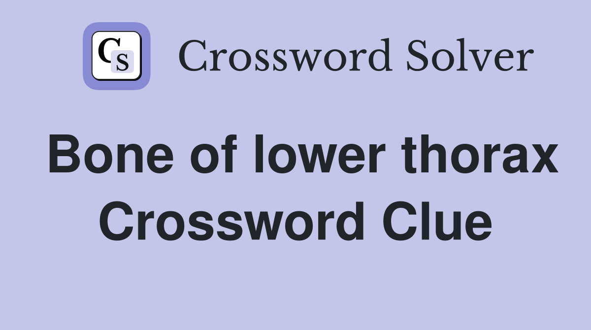 Bone of lower thorax Crossword Clue