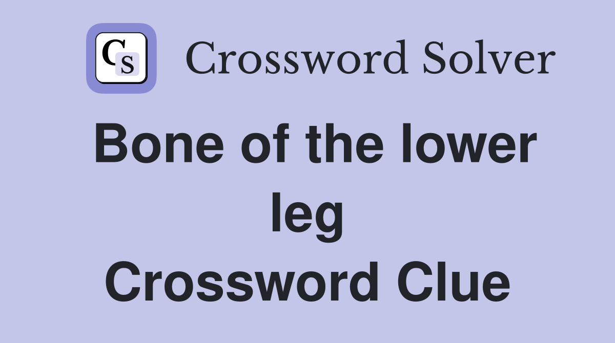 Bone of the lower leg Crossword Clue