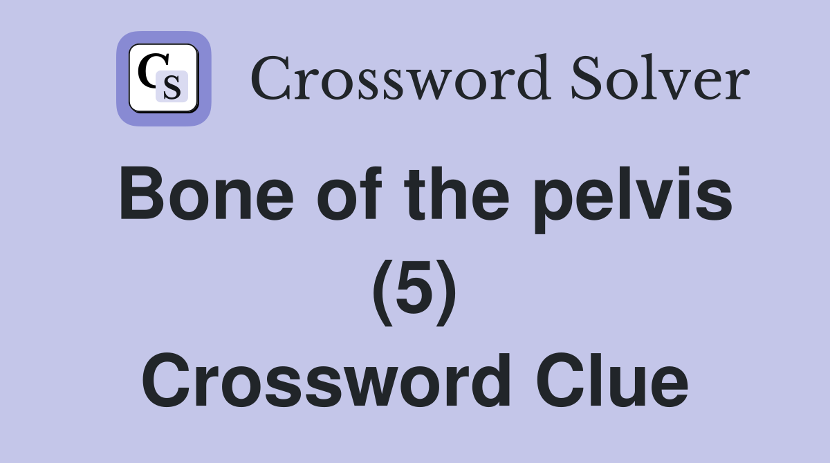 Bone of the pelvis (5) Crossword Clue