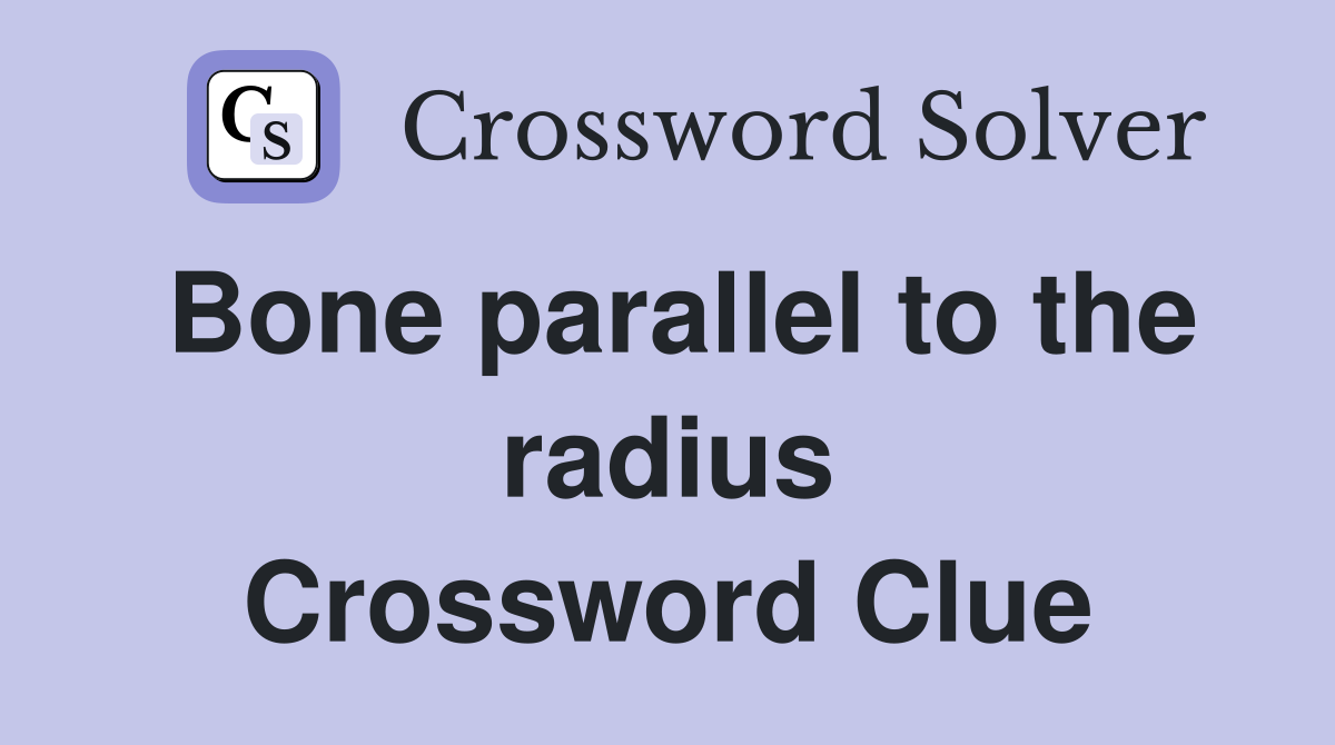Bone parallel to the radius Crossword Clue