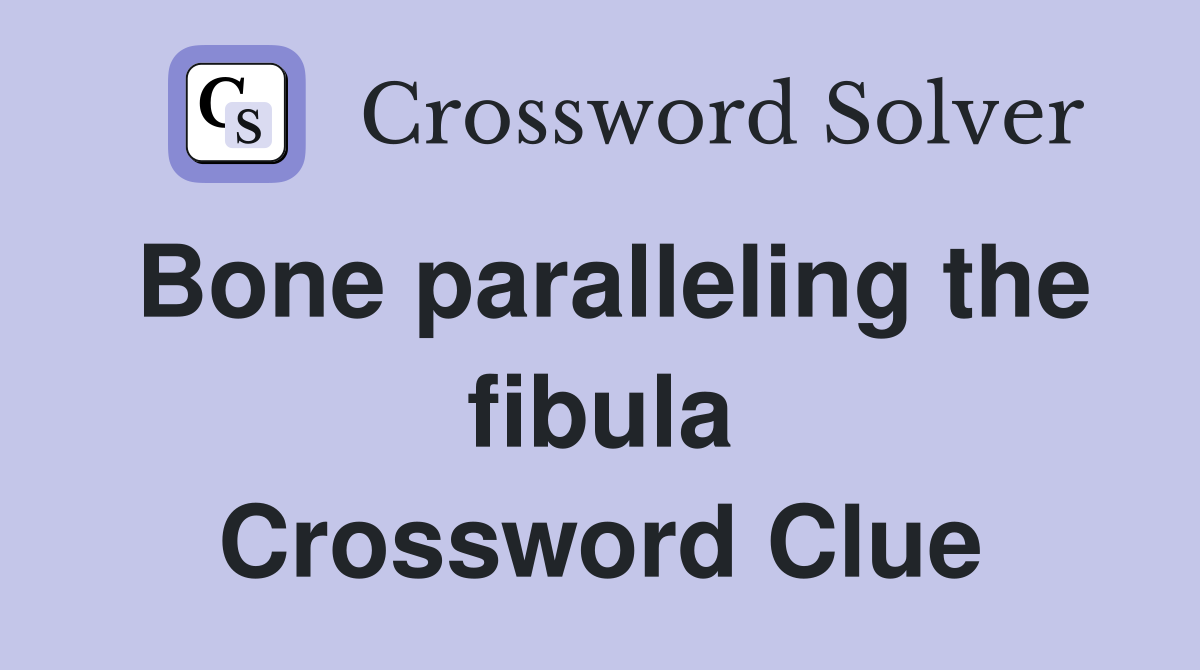 Bone paralleling the fibula Crossword Clue
