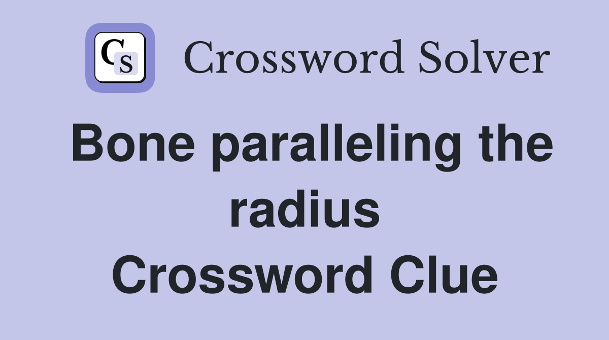 Bone paralleling the radius Crossword Clue