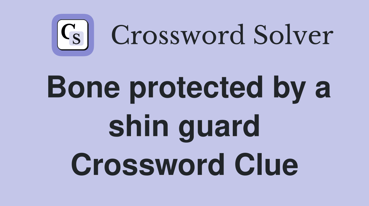 Bone protected by a shin guard Crossword Clue