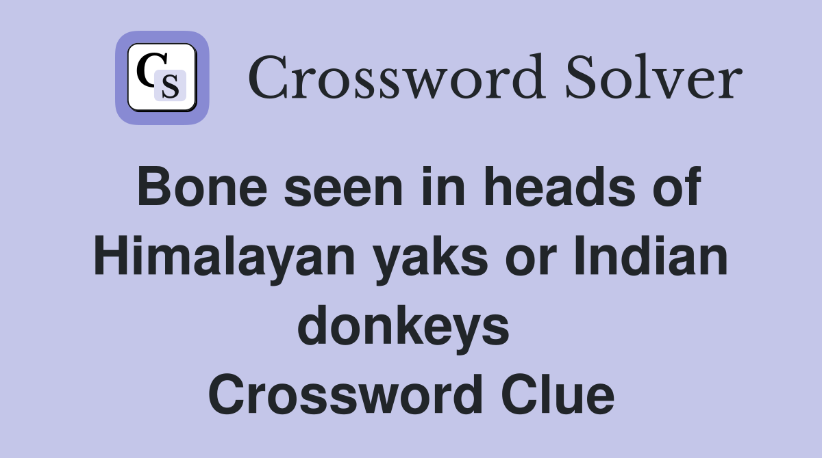 Bone seen in heads of Himalayan yaks or Indian donkeys  Crossword Clue