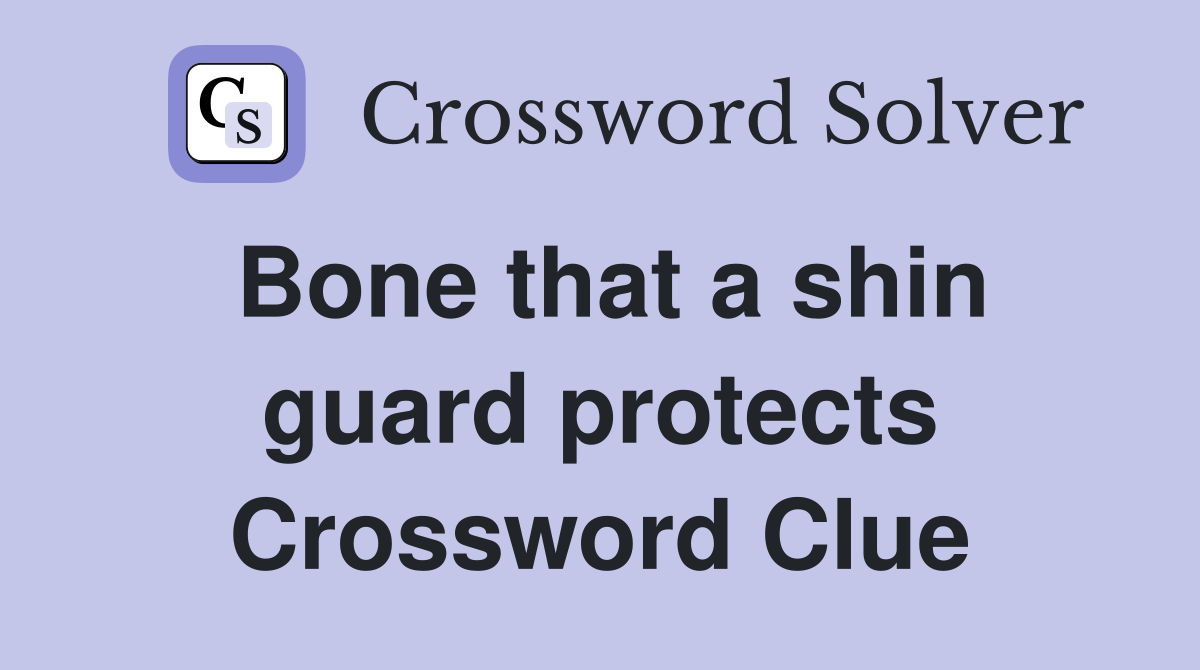 Bone that a shin guard protects Crossword Clue