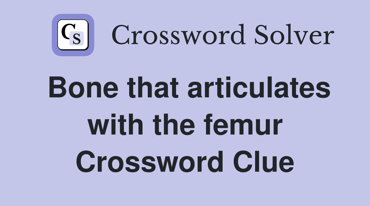 Bone that articulates with the femur Crossword Clue