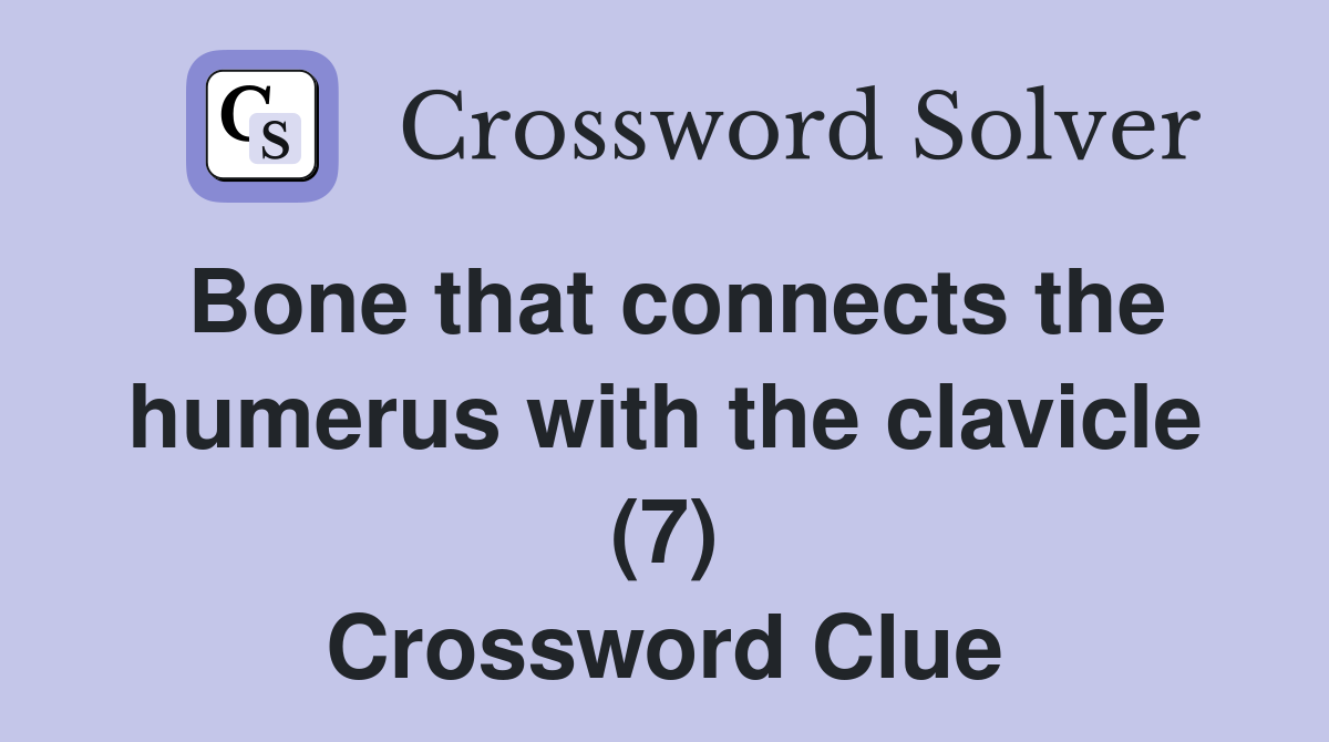 Bone that connects the humerus with the clavicle (7) Crossword Clue