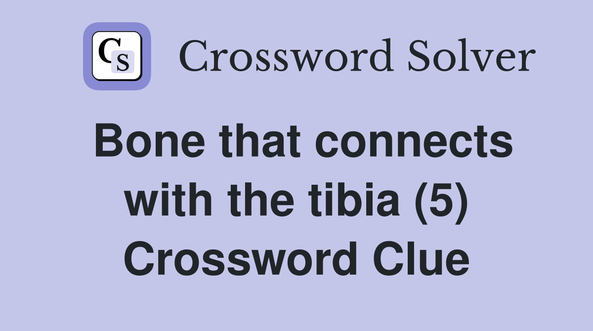 Bone that connects with the tibia (5) Crossword Clue