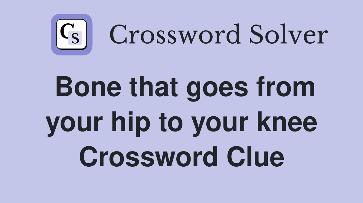 Bone that goes from your hip to your knee Crossword Clue