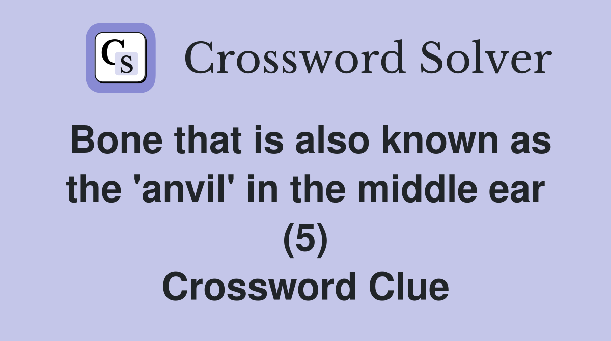 Bone that is also known as the 'anvil' in the middle ear (5) Crossword Clue