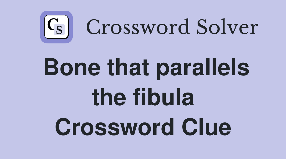 Bone that parallels the fibula Crossword Clue