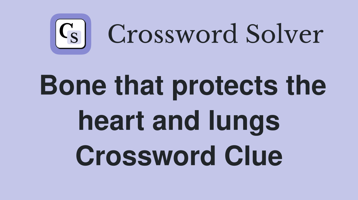 Bone that protects the heart and lungs Crossword Clue