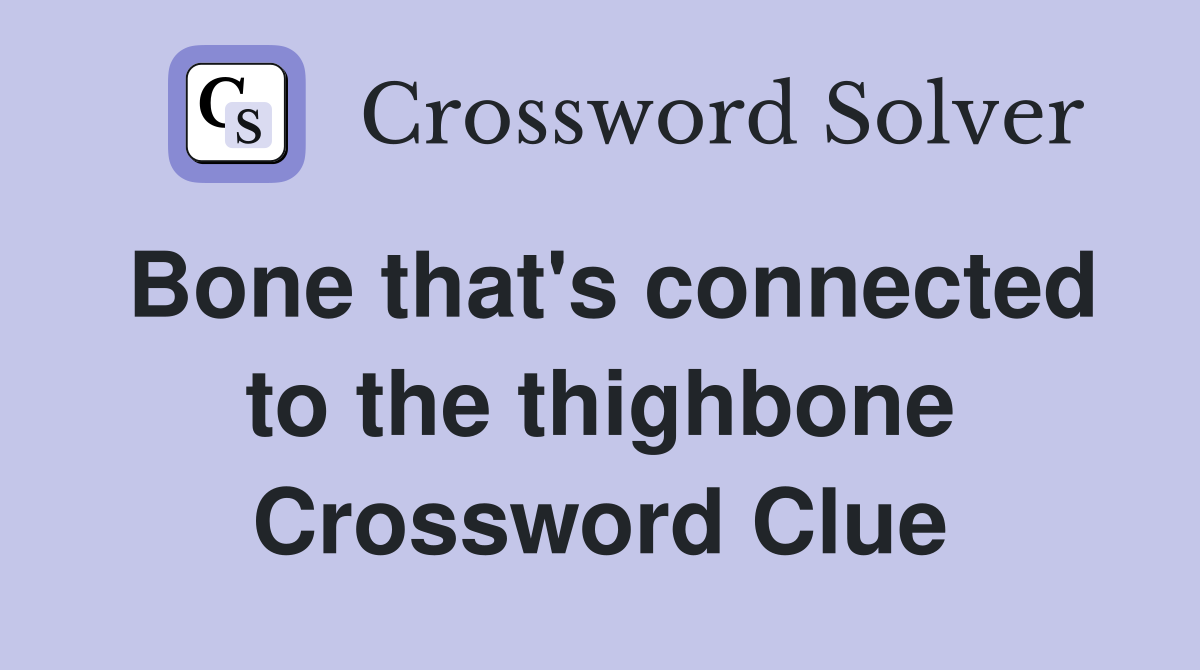 Bone that's connected to the thighbone Crossword Clue