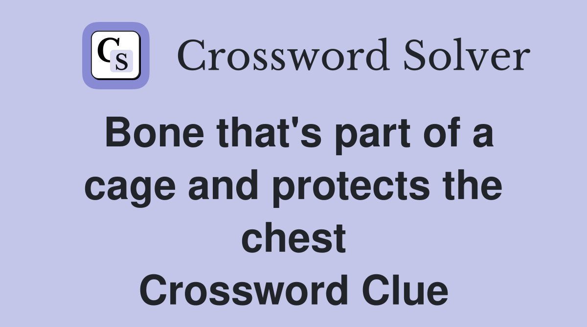 Bone that's part of a cage and protects the chest Crossword Clue