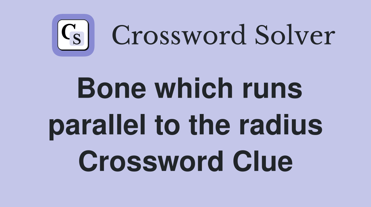Bone which runs parallel to the radius Crossword Clue