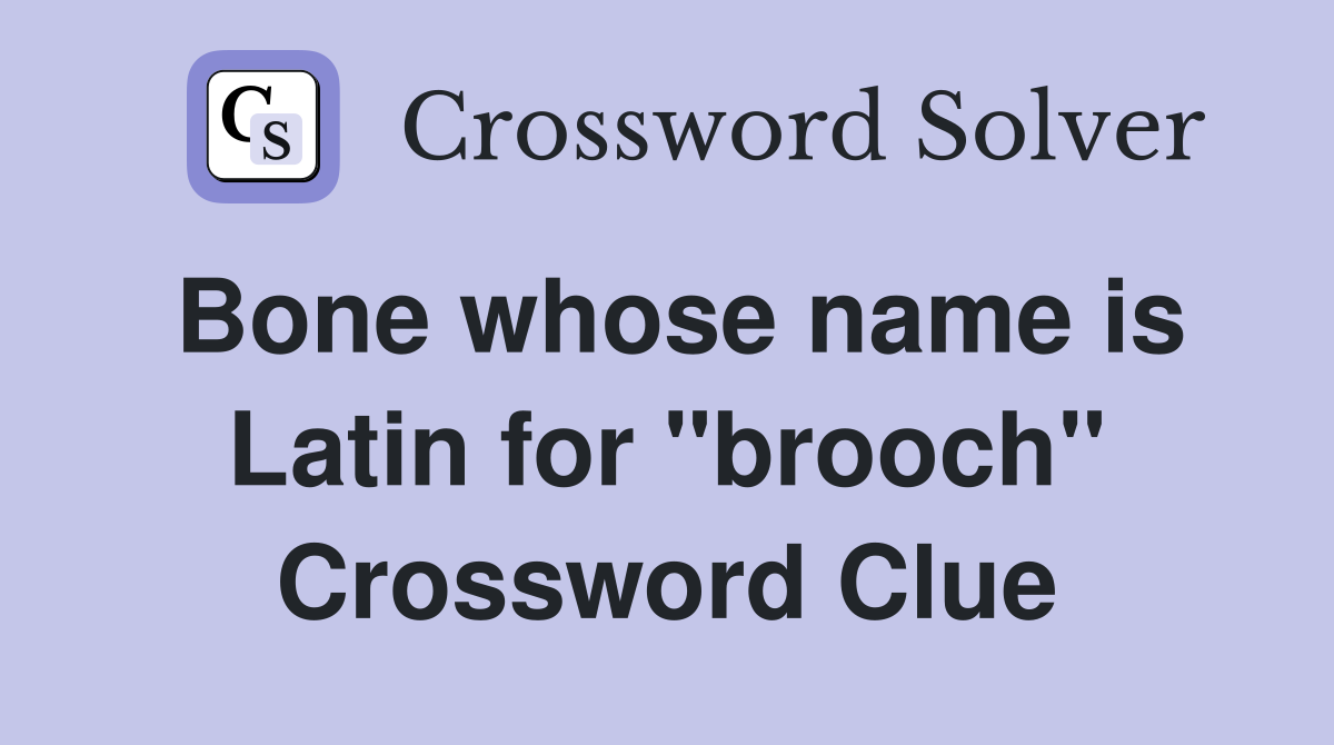Bone whose name is Latin for "brooch" Crossword Clue