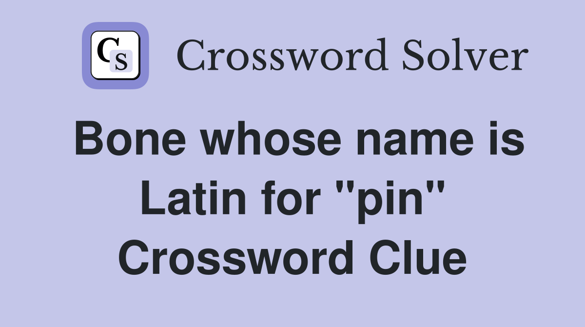 Bone whose name is Latin for "pin" Crossword Clue