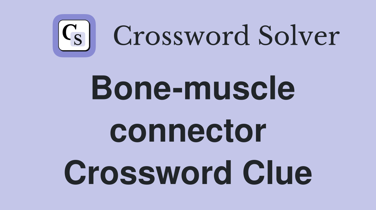 Bone-muscle connector Crossword Clue