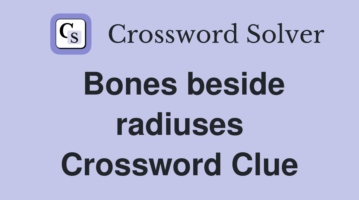 Bones beside radiuses Crossword Clue