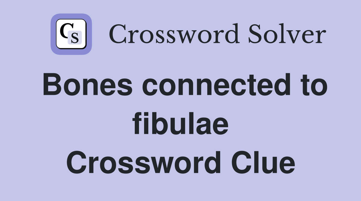 Bones connected to fibulae Crossword Clue