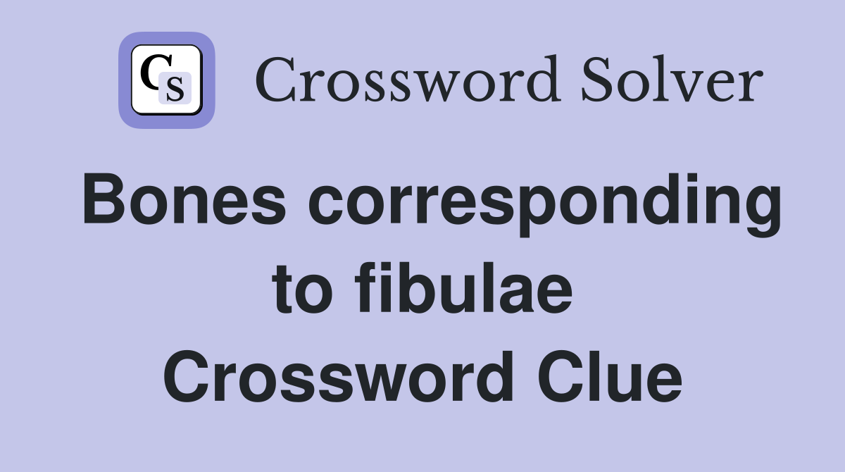 Bones corresponding to fibulae Crossword Clue