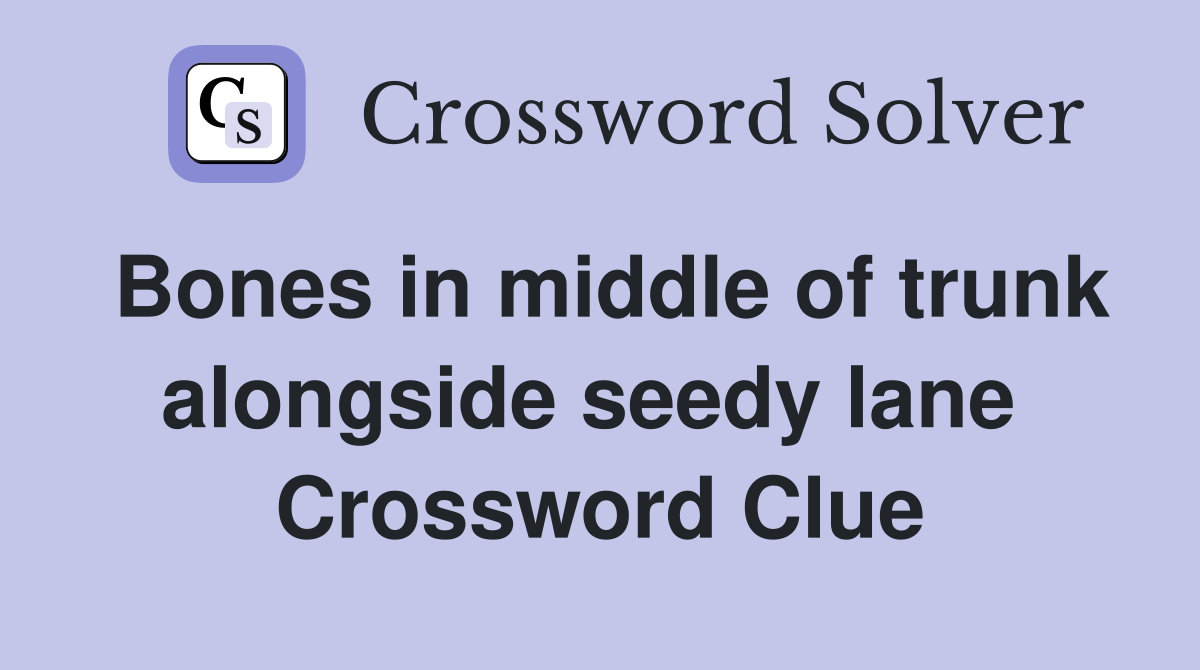 Bones in middle of trunk alongside seedy lane  Crossword Clue