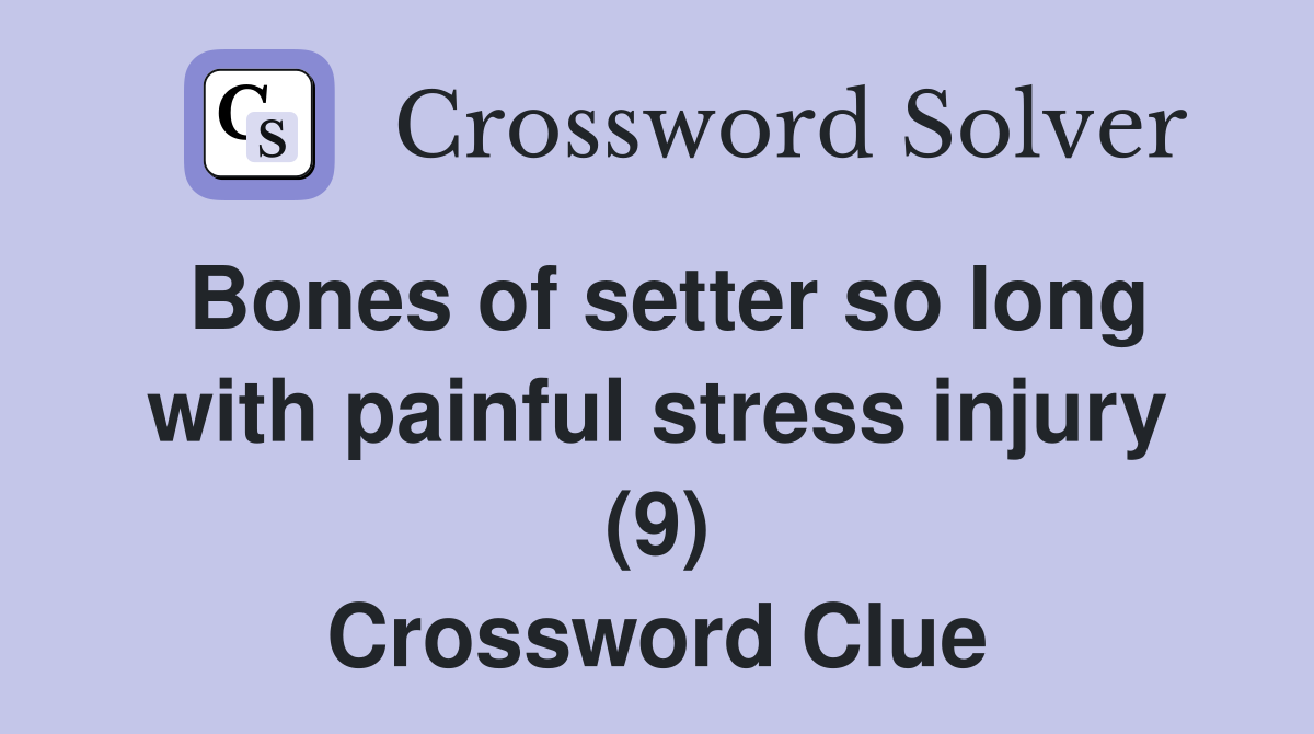 Bones of setter so long with painful stress injury (9) Crossword Clue
