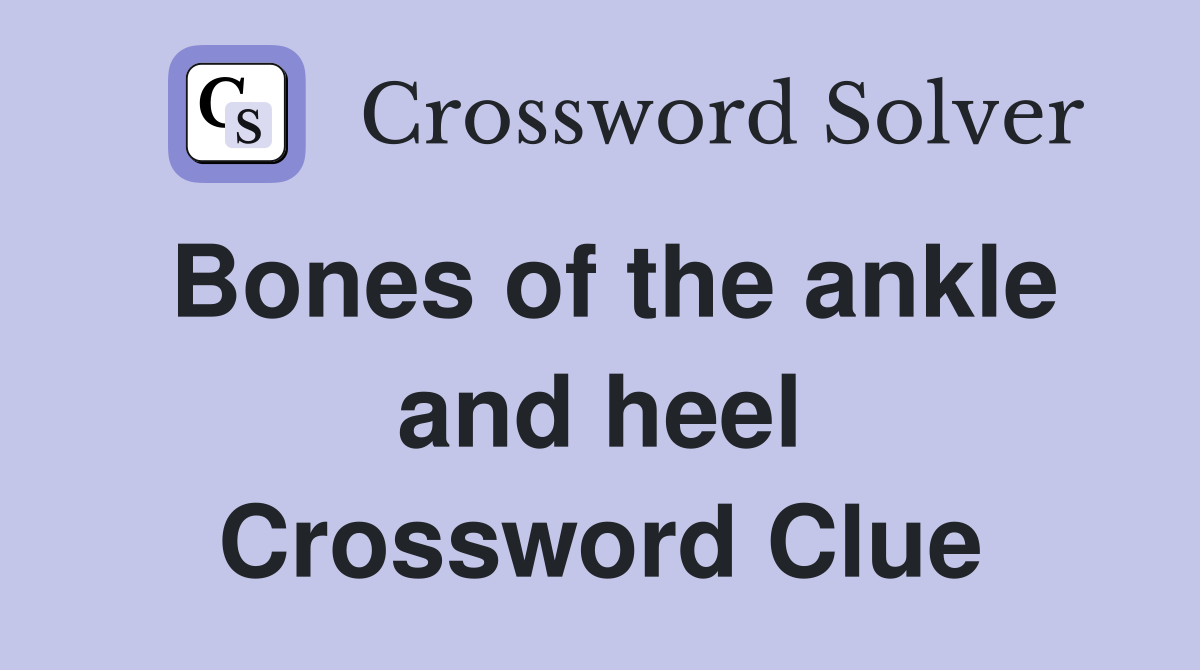 Bones of the ankle and heel Crossword Clue