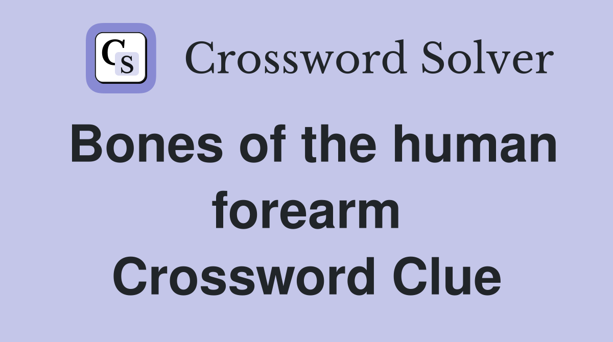 Bones of the human forearm Crossword Clue