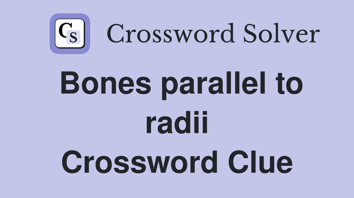 Bones parallel to radii Crossword Clue