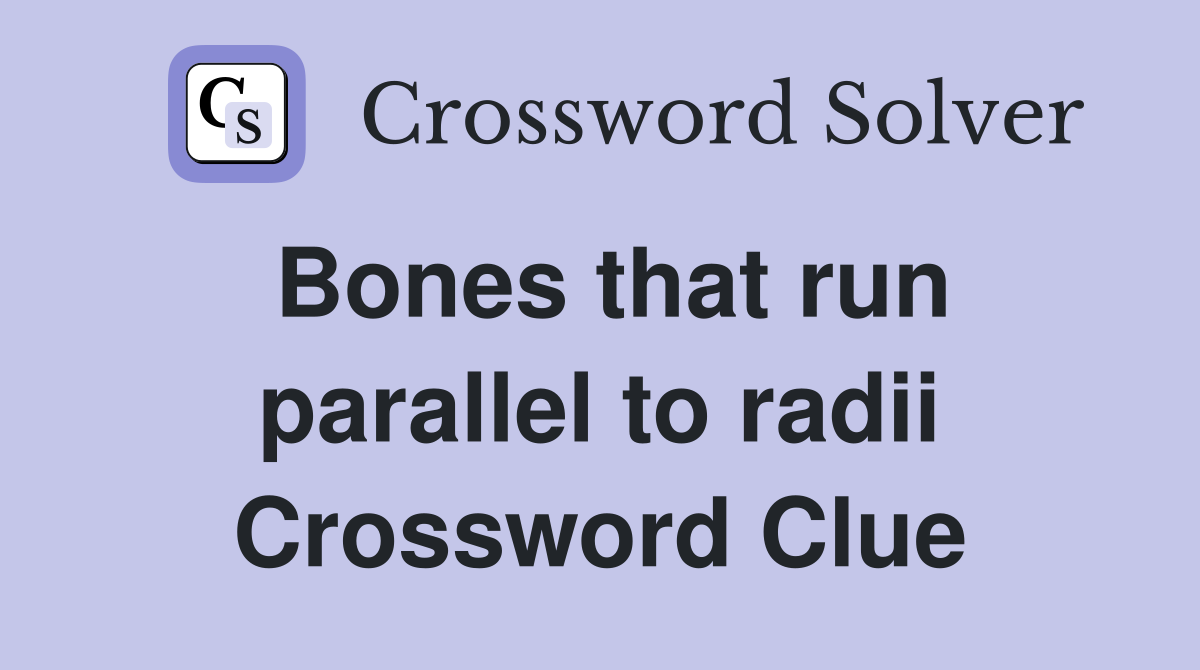 Bones that run parallel to radii Crossword Clue