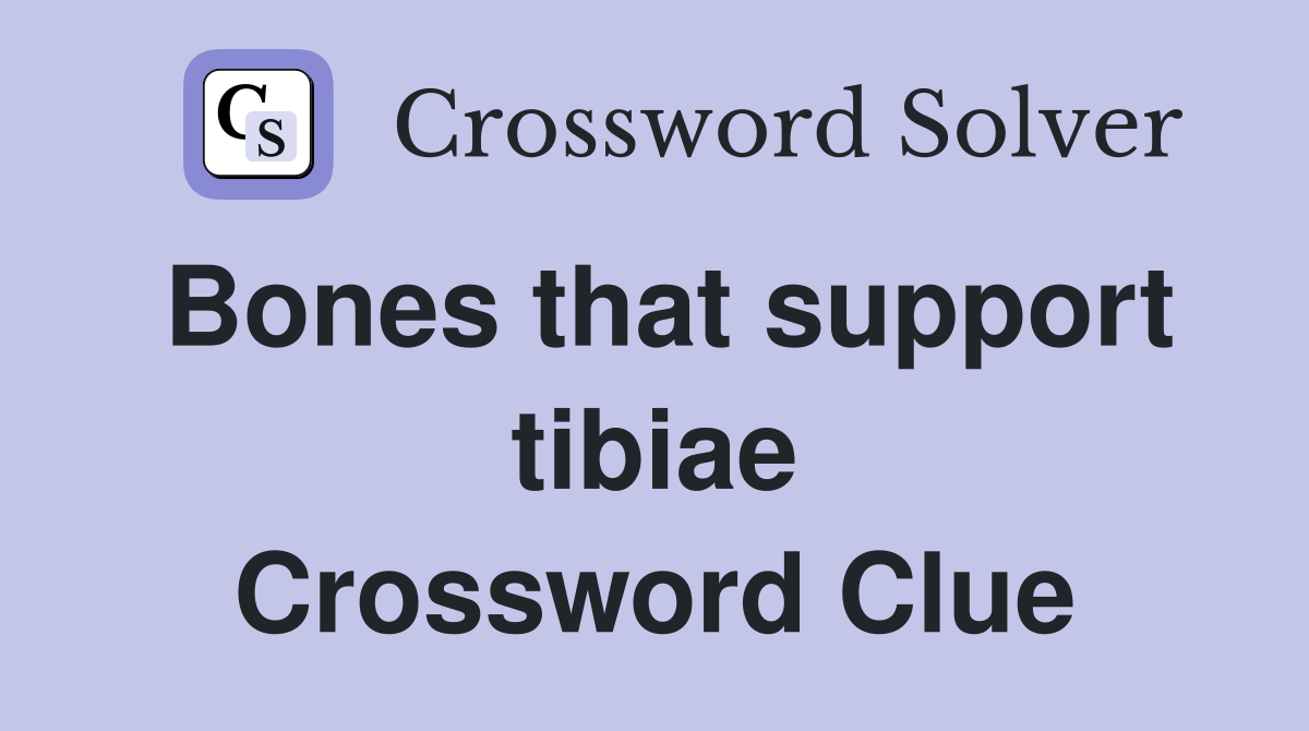 Bones that support tibiae Crossword Clue